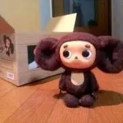 cheniの画像
