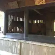 Saki-の画像