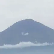 コーヒー先輩の画像
