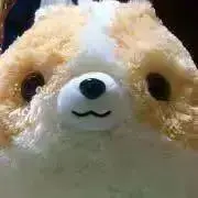 ミルク