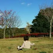 Honey Bee★
