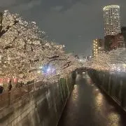 ふえきの画像