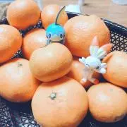 ありんこ