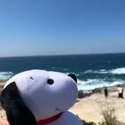 tomo.