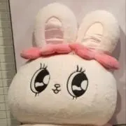 きらりの画像