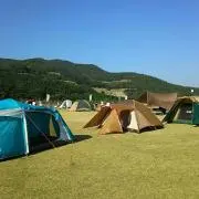 梅っちの画像