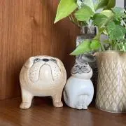 saorinnomama✩.*˚即日発送の画像