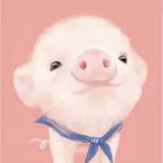 ぶたの画像