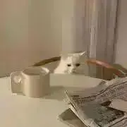 ❕の画像