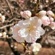 tm★即購入歓迎★の画像