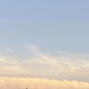 ぺーこの画像