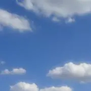 shioriの画像