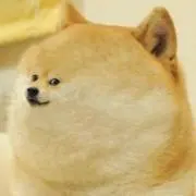DoXの画像
