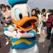 ひの画像