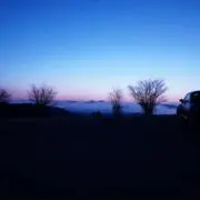 シンマコの画像