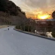 YMTの画像