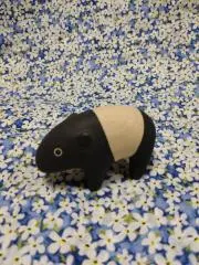 ワンちゃんの画像