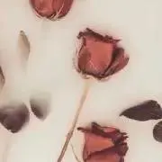 Seven7の画像