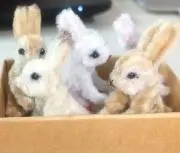 ＊shii＊7月末までお値下げ中♪の画像