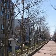 ぱの画像