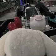 ひうの画像