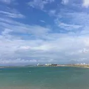 RISAの画像