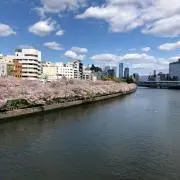 sktの画像