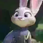 naoshinnの画像
