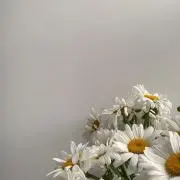 putの画像