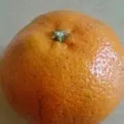 みかんの画像
