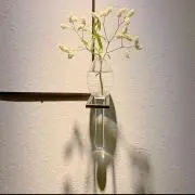 すいかの画像