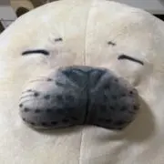 とらの画像