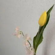 あ（プロフィール読んでください）の画像