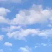 noleの画像