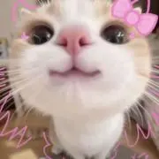 ℳの画像