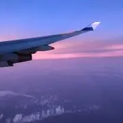 しーまんの画像