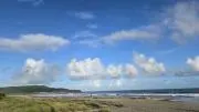 suisenの画像
