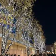 KKの画像