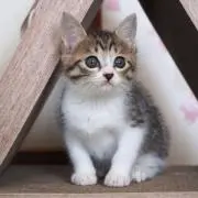 ゆずの画像