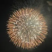 びーはな  プロフ必読