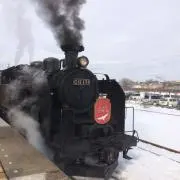 まりもの画像