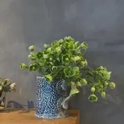 smoothの画像