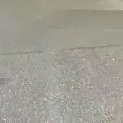 shinの画像