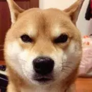 サクラ