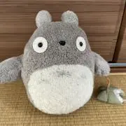 かっちゃん☆の画像
