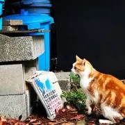 PON ♦末〆 整理期間値下げ交渉可♦の画像