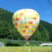 marcyの画像