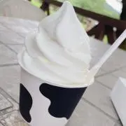 さ や か