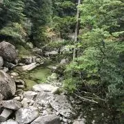 m.の画像