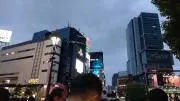 ビームの画像
